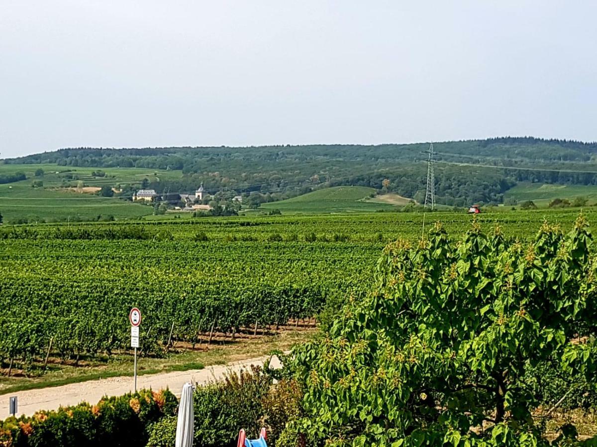 فينكل اوستريش Ferienzimmer Weingut Mack المظهر الخارجي الصورة