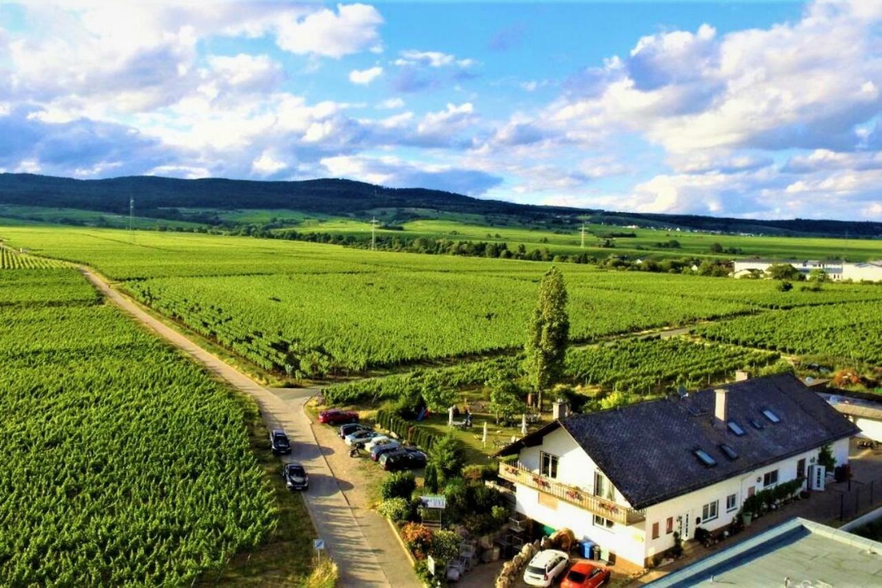 فينكل اوستريش Ferienzimmer Weingut Mack المظهر الخارجي الصورة